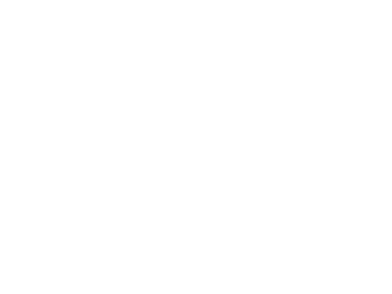 stihl